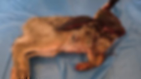 497459521_1103233111844609_8503453785267792129_n