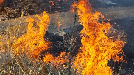 DOC.20250723.8793415.1000024187 (1)