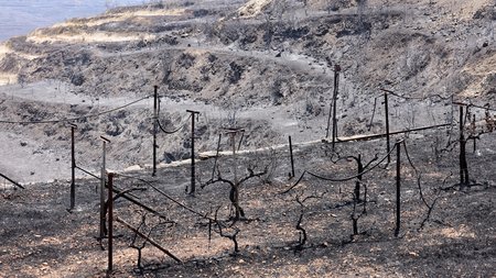 DOC.20250728.8820663.01A10