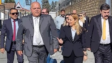 cats_hkSCnU0.width-750.width-750