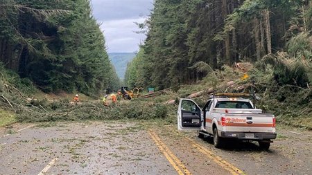 1100_36103a76-68e5-481f-9765-3f166a8e6e18