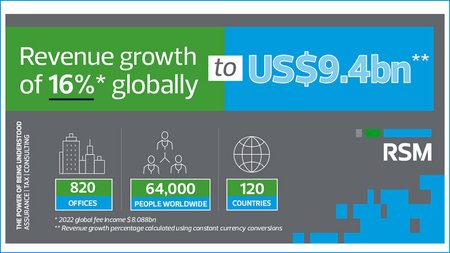 RSM revenue 2023 2024