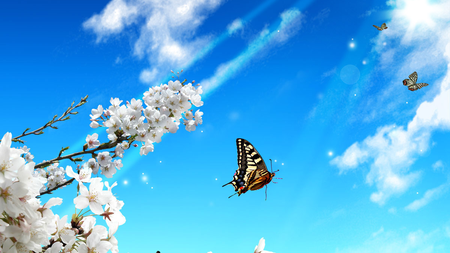217f8135-f824-4d3a-a93c-71677b2a8d48.jpg