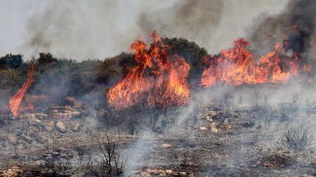 DOC.20250724.8800343.01FOTIA05