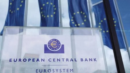 MixCollage-11-Dec-2023-08-16-AM-3942