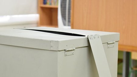 cats_T2HOjcu.width-750