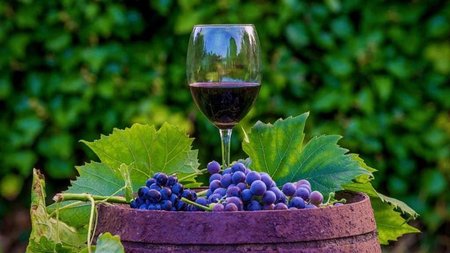 wine-making-1-piij510jq445b346tyus4lo5u267yem8ee3gz889kw