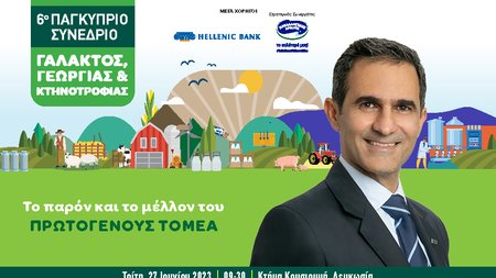 INB BANNER GALAKTOS Papadopoullos