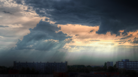e1fee07d-f9f0-42c3-ac4f-8fcdd3a7a9bb.jpg