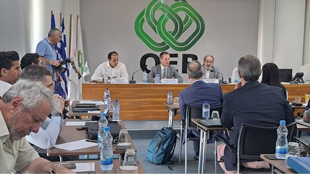 ΟΕΒ-ΗΛΕΚΤΡΙΚΗ ΔΙΑΣΥΝΔΕΣΗ