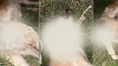 692_463f6814-79c0-4ba6-9e6a-aecb4c2200df