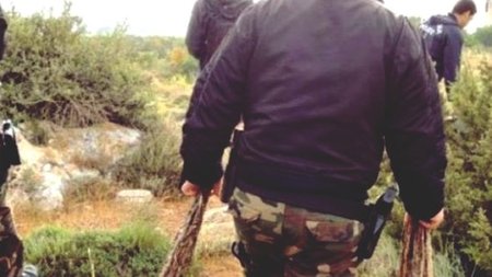 cats_YfAHFHf.width-750