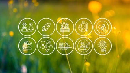 MixCollage-14-Dec-2023-12-56-PM-8249