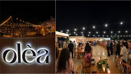 MixCollage-29-May-2025-10-20-AM-9128