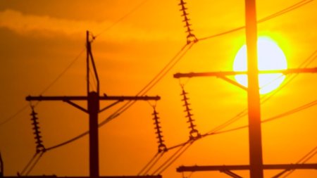 Collage Maker-12-Oct-2023-11-47-AM-9626