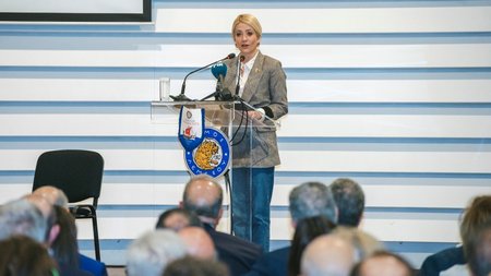 DOC.20250412.8293663.proedrosvoulisvarosha2