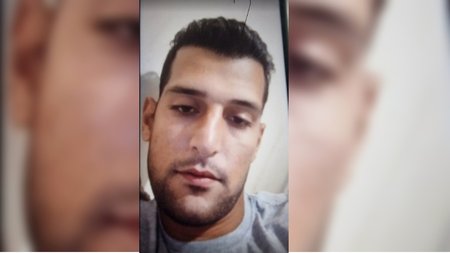 cats0_1W2pFxF.width-800