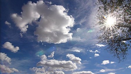 hhh_252863_214209_type13262