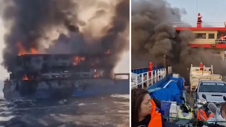 c1ed0523-5daa-42f6-85cd-11eddc4df9dd