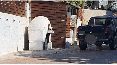 cats_cjfXlgr.width-750