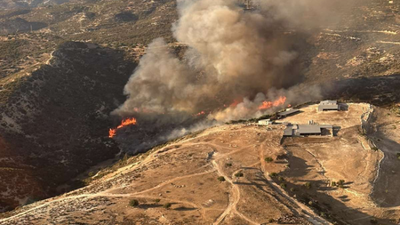 πλατανισκια