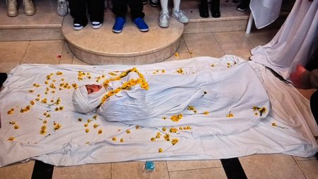 DOC.20250413.8299066.anaparastasiagioulazaroulempa