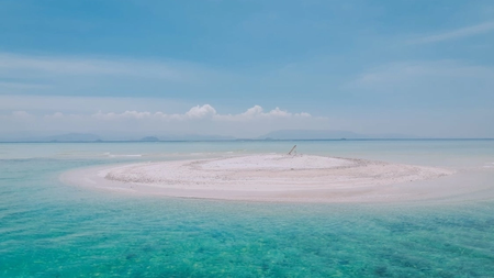 pexels-photo-27793491