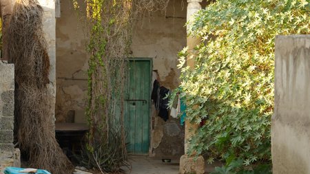 384083111_1341606113158372_8717585927107614681_n