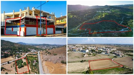 Collage Maker-06-Oct-2023-10-15-AM-3367