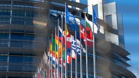 cats_Qb3H27i.width-750