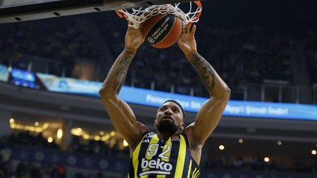 birch-fener-1200x800