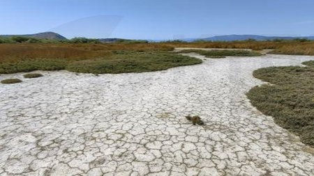 cache_500x500_6845571_383941412819597