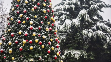 xionia_xristougenna-scaled