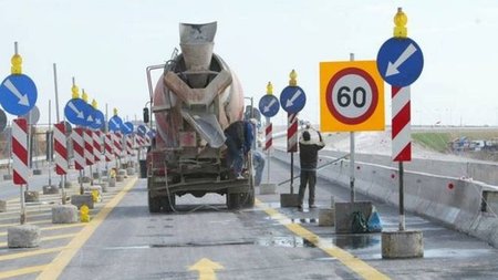 cats_dNngI71.width-750