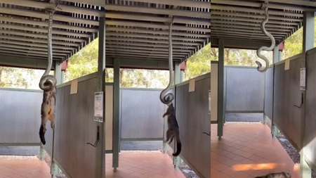 befunky-collage1_24 (1)