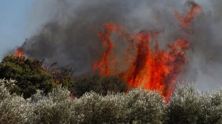 vari-barh-varh-eurokinissi