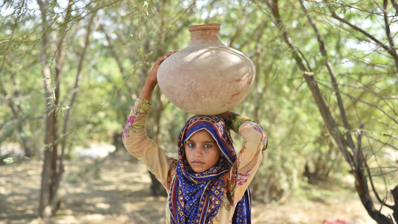 pakistani_girl