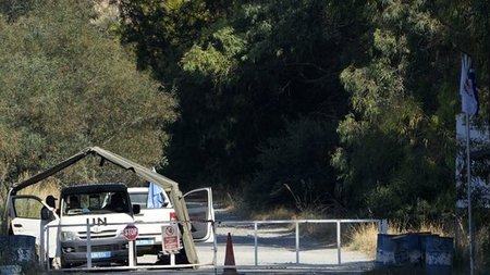 cats_lw6xWNW.width-750