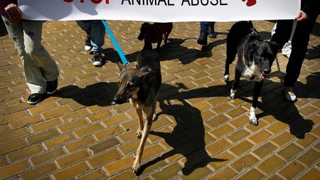 07d539c3-5cc2-4626-857a-884346284e06