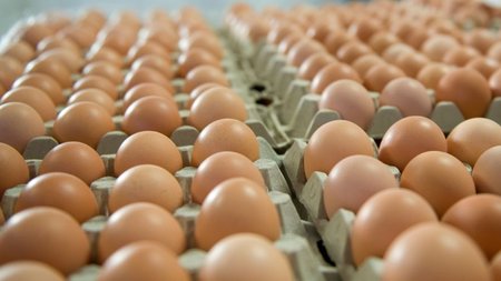 avga-me-ti-na-ta-antikatastiso_17290_XL