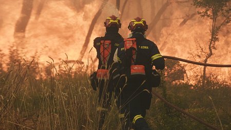 fotia-stamata-arthro