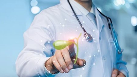 apollonio cover photo 1000x560