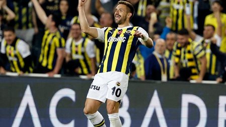 tadic_223313