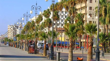 larnaka-finikoudesjpg