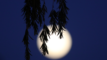 c0de1757-5bcc-4e4f-92c5-6d86f445da8a.jpg