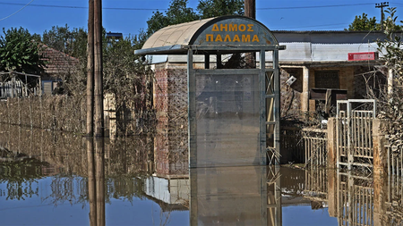 palamas_plimmires_arthro