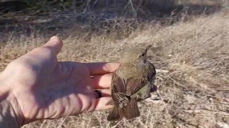 458716704_2190980724620637_3272037278060890523_n0