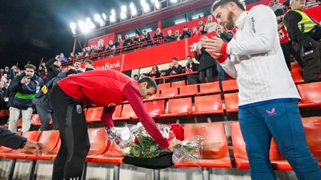 MixCollage-12-Dec-2023-12-48-AM-6716