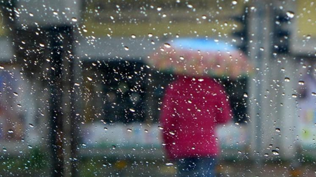 e3c760a2-591f-49ce-ac55-2a7518a109d8.jpg
