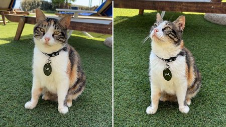 Mercure Beach Resort1